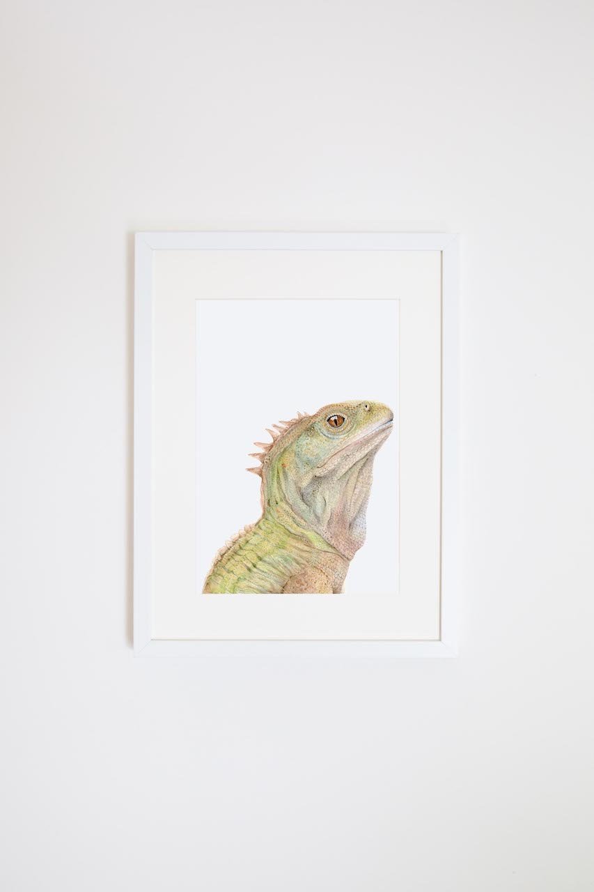 Triton the Tuatara-For Me By Dee