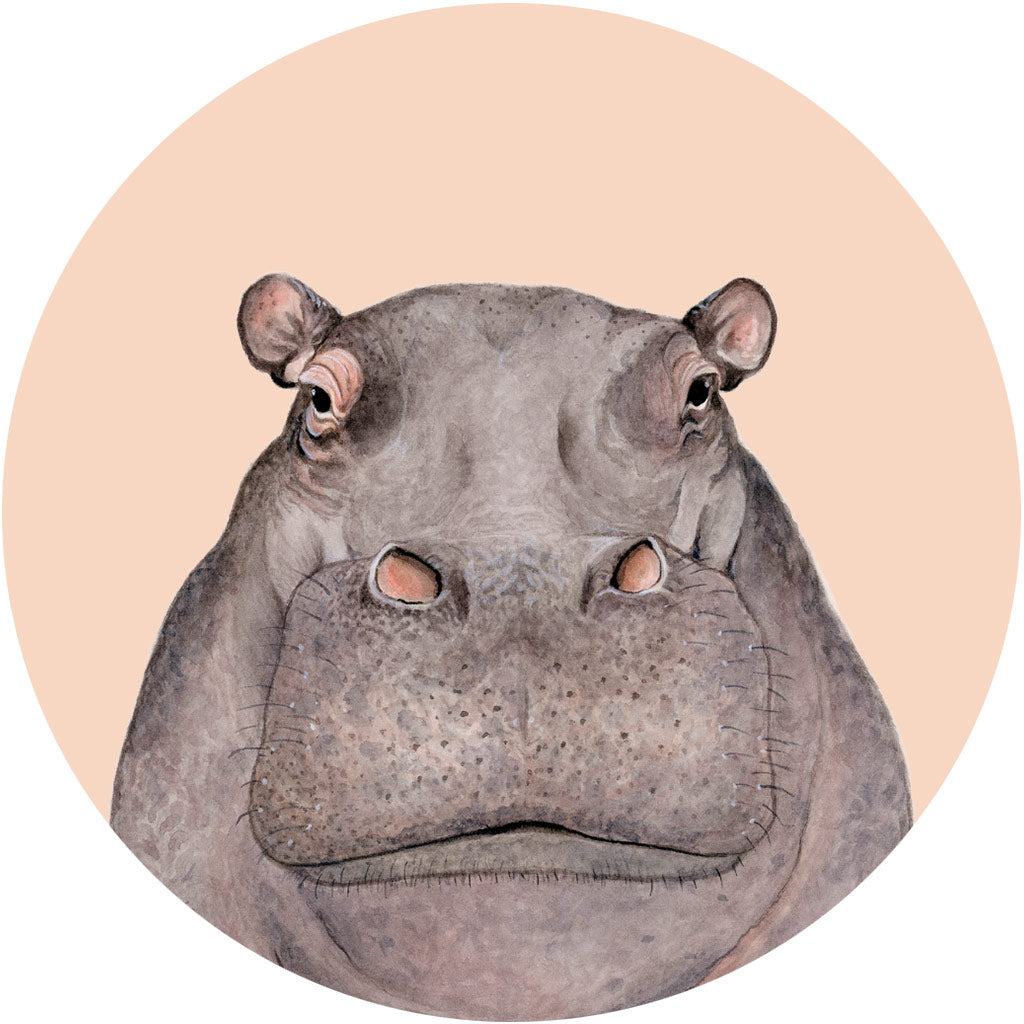 Hugo the Hippo