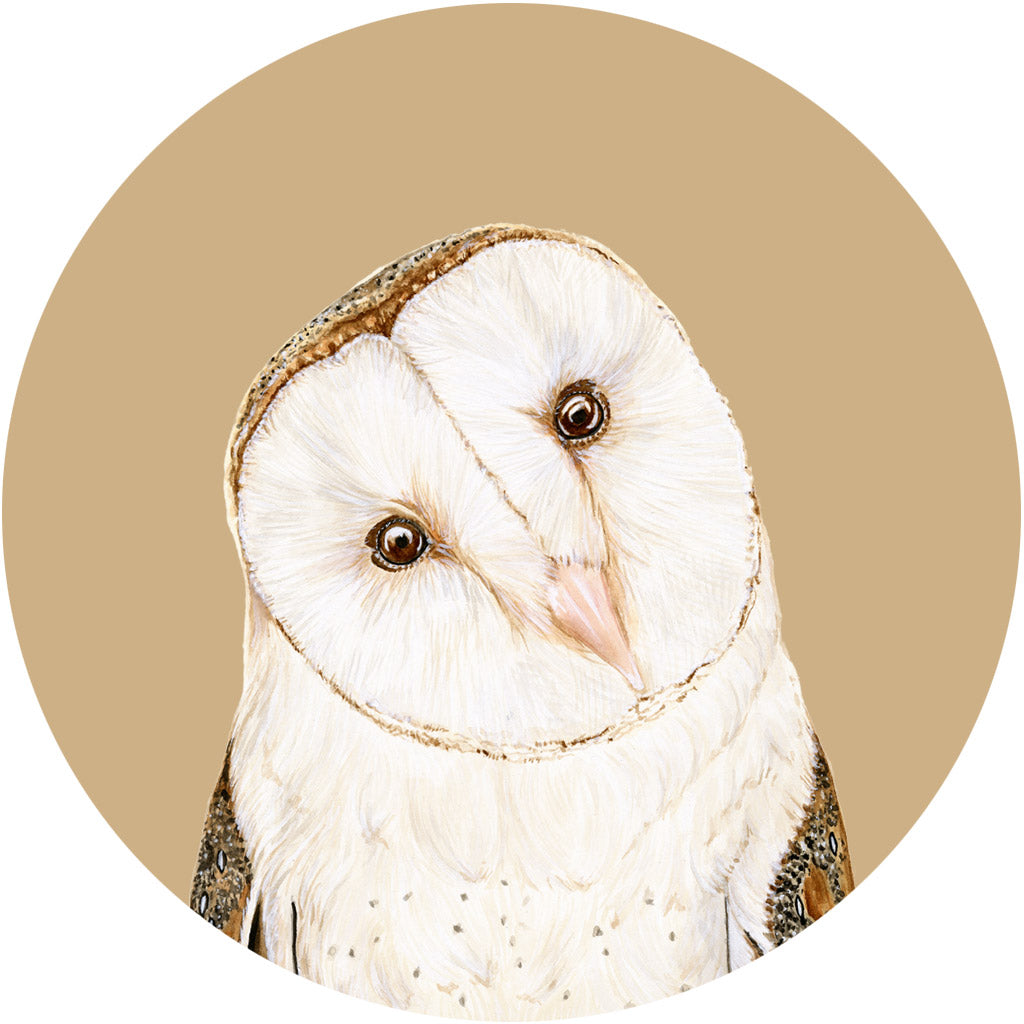 Luna the Barn Owl