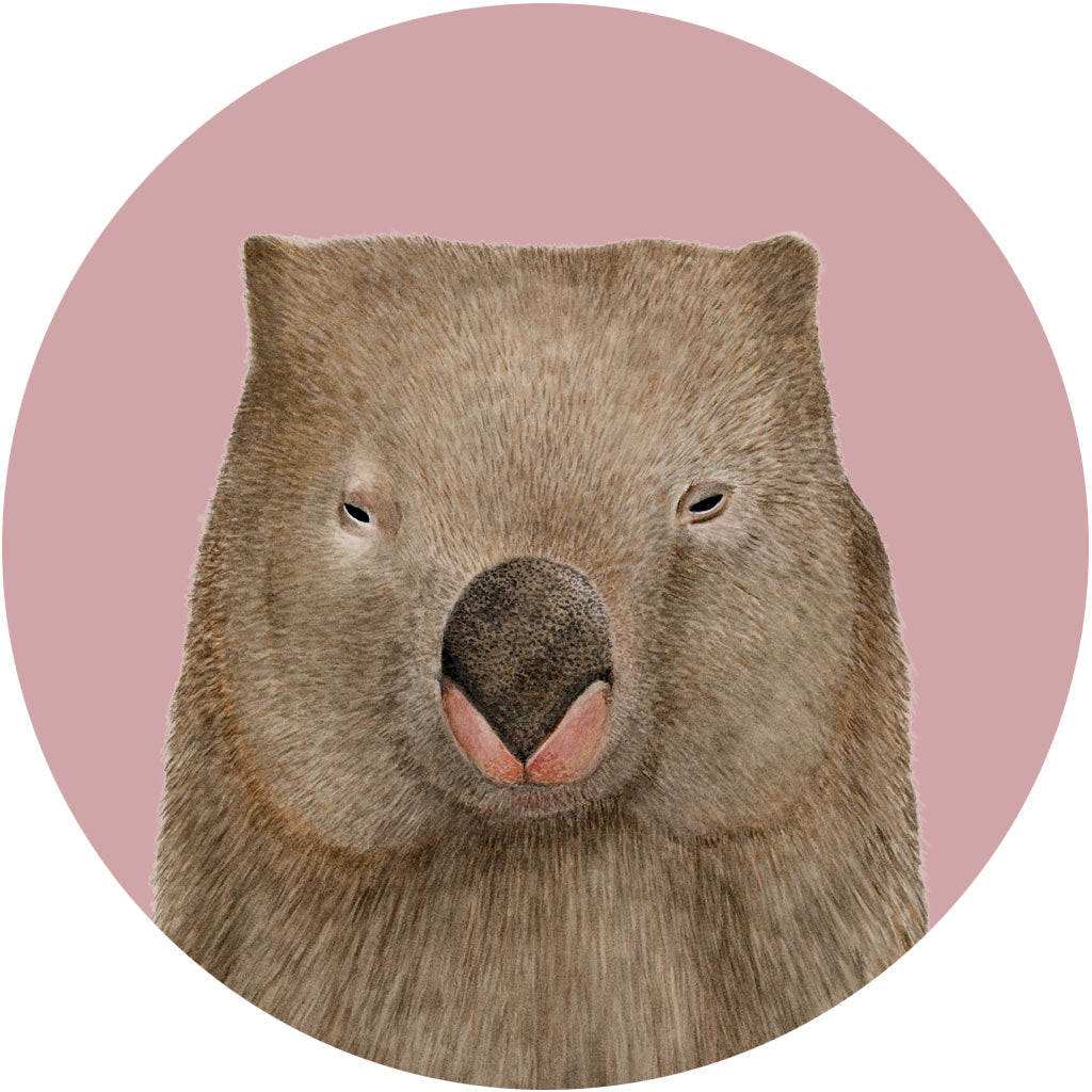 Winston the Wombat