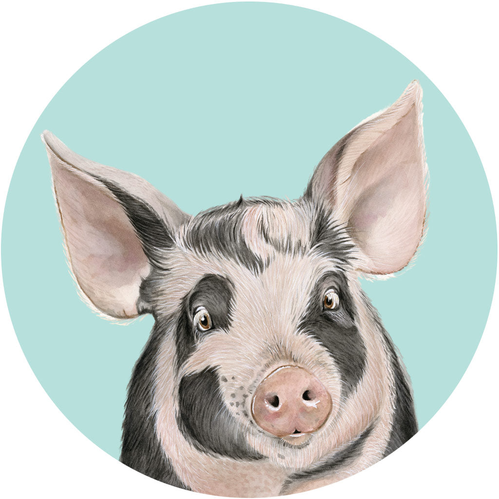 Pia the Pig