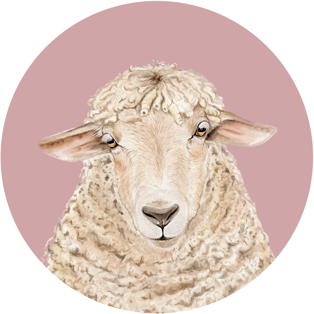 Mabel the Sheep