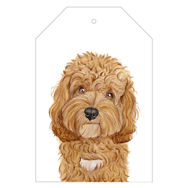 Carrie the Cavoodle Gift Tags - For Me By Dee