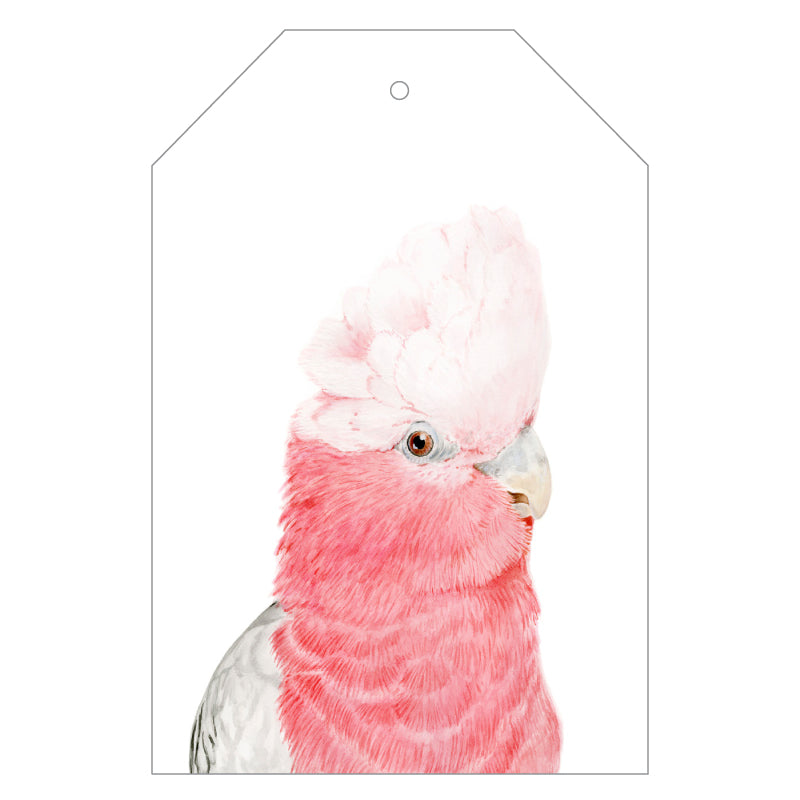Gary the Galah Gift Tags - For Me By Dee