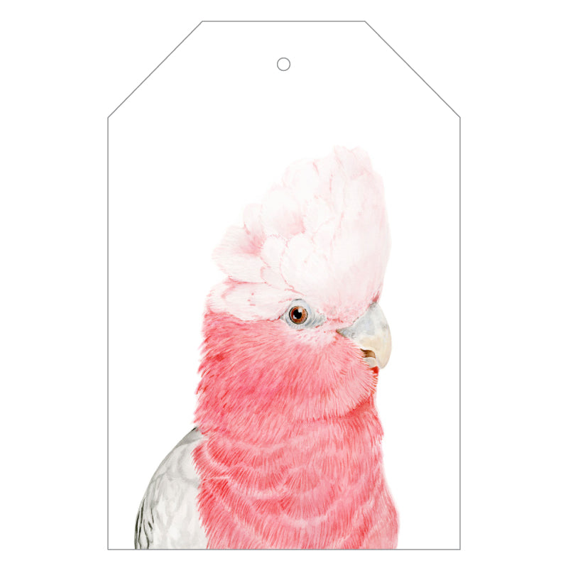 galah australian bird gift tag with twine string on green background