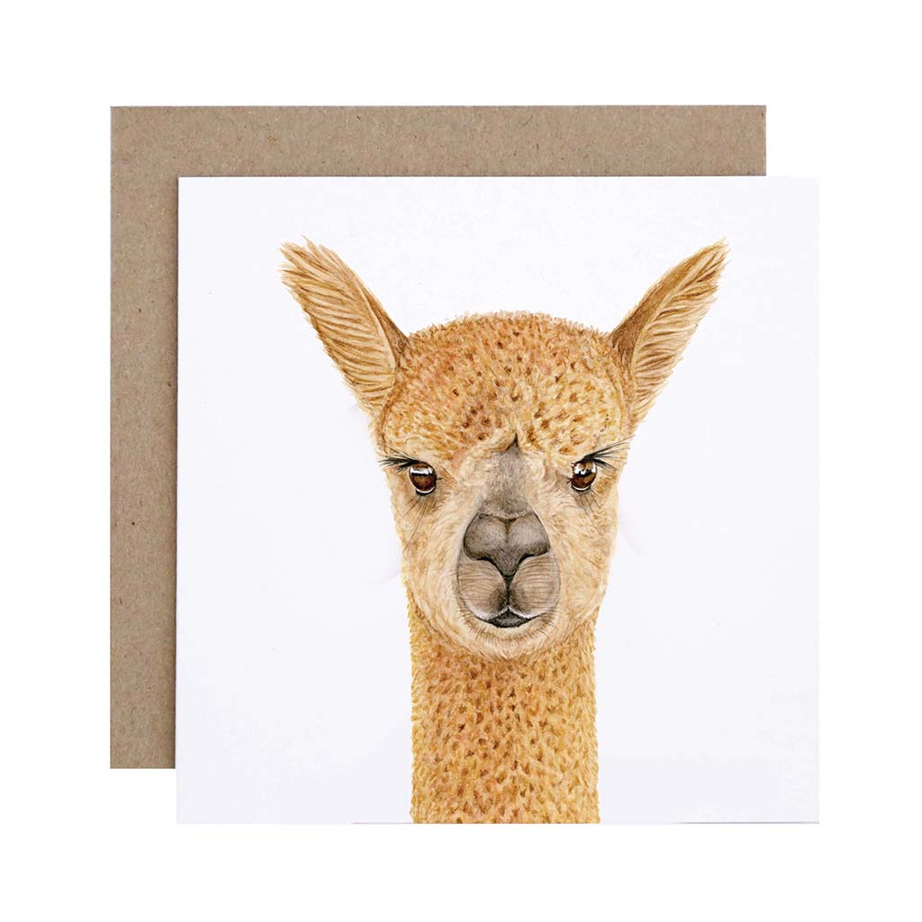 Square white greeting card with alpaca watercolour illustration and recycled kraft envelope