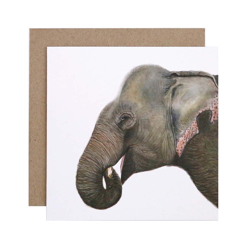 Square white greeting card with asian elephant watercolour illustration and recycled kraft envelope
