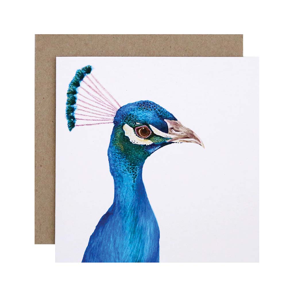 Square white greeting card with blue peacock watercolour illustration and recycled kraft envelope