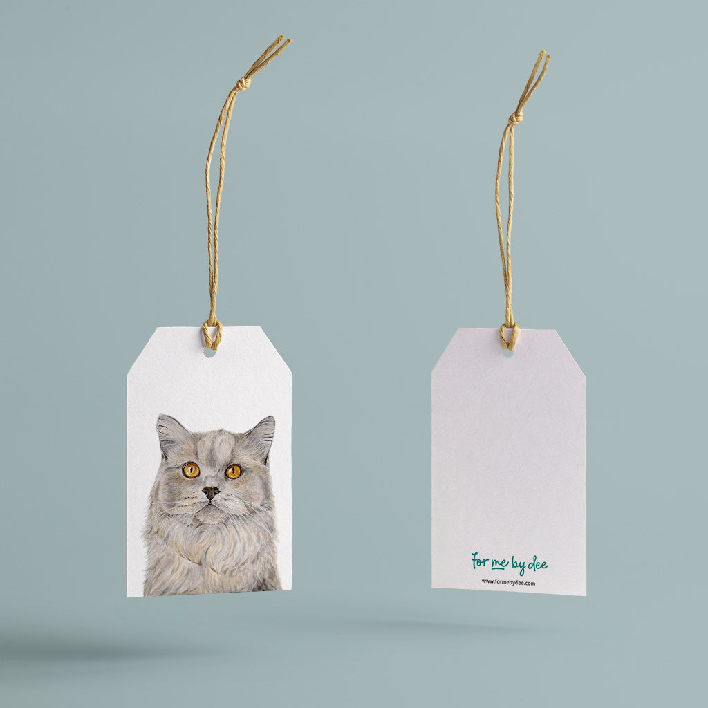 british short hair grey cat gift tag with twine string on blue background