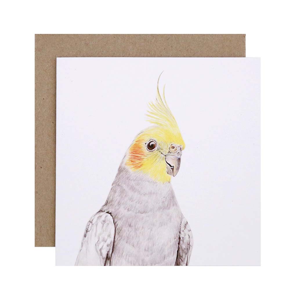Square white greeting card with cockatiel watercolour illustration and recycled kraft envelope