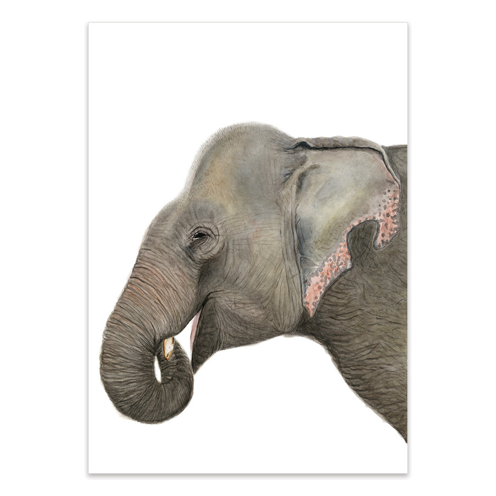 elephant watercolour artwork print