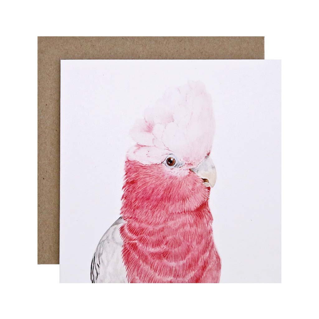 Square white greeting card with galah watercolour illustration and recycled kraft envelope