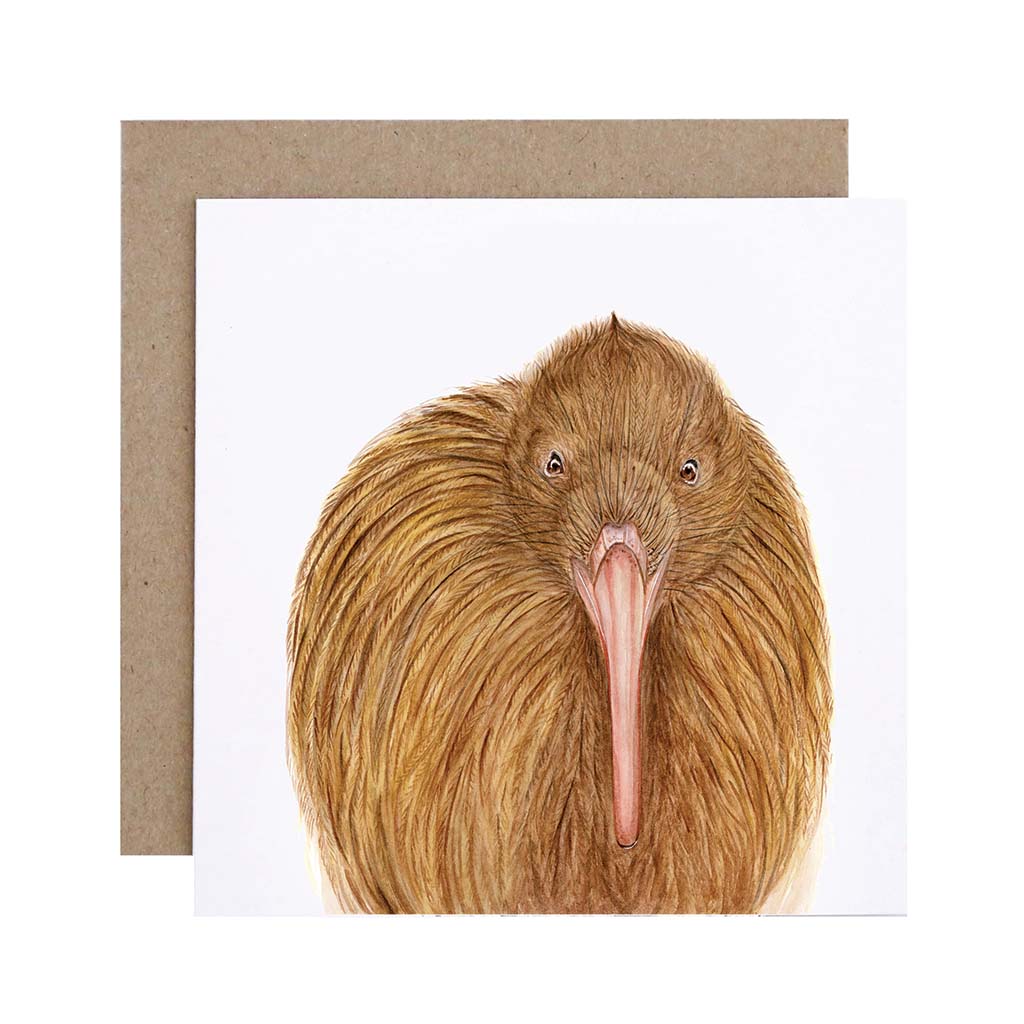 Square white greeting card with kiwi bird watercolour illustration and recycled kraft envelope