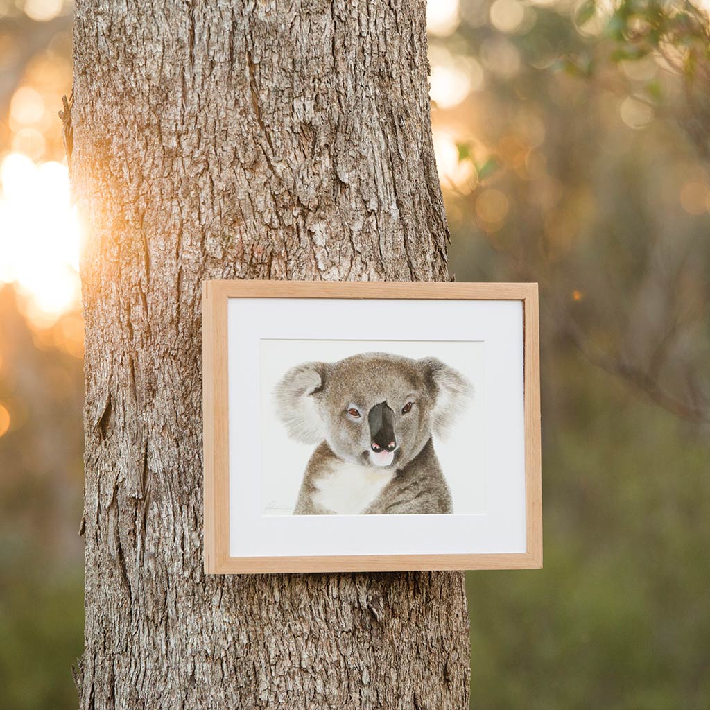 koala watercolour artwork print