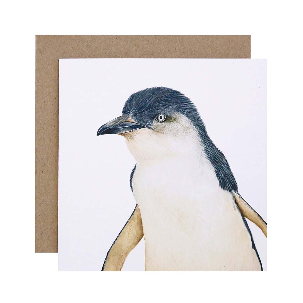 Square white greeting card with little fairy penguin watercolour illustration and recycled kraft envelope