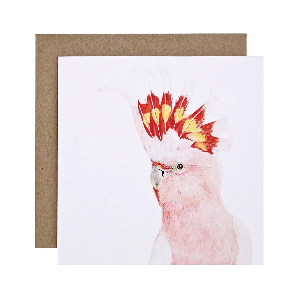 Square white greeting card with major mitchells cockatoo watercolour illustration and recycled kraft envelope