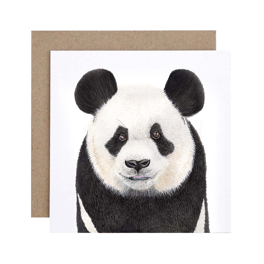 Square white greeting card with panda bear watercolour illustration and recycled kraft envelope