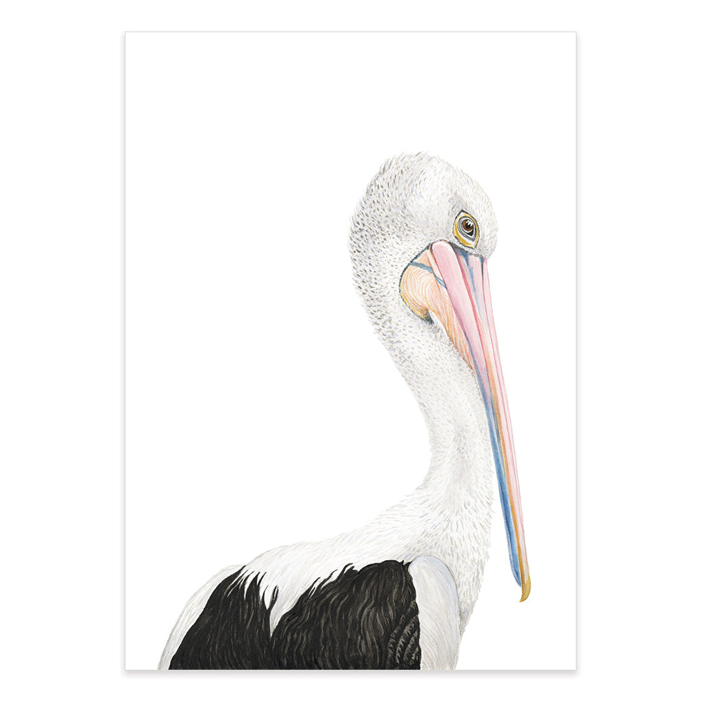 pelican watercolour artwork print