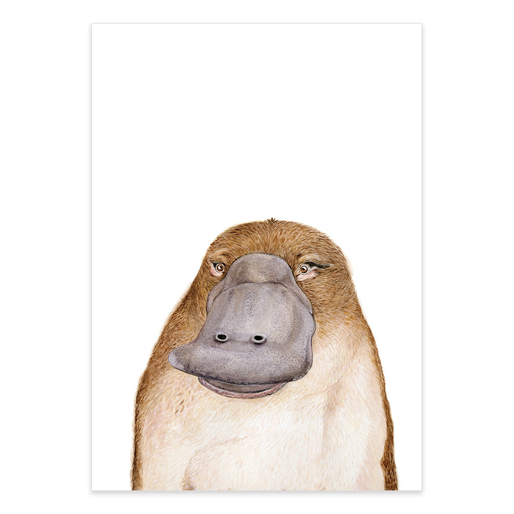 platypus watercolour artwork print