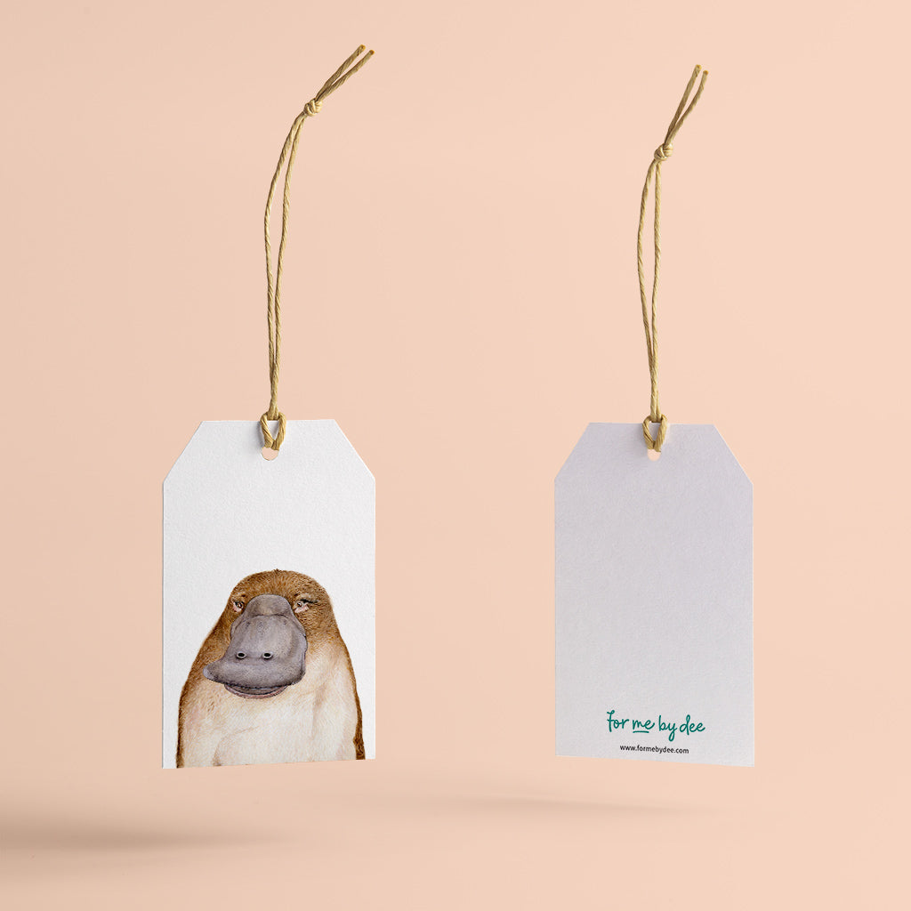 platypus australian animal gift tag with twine string on pink background