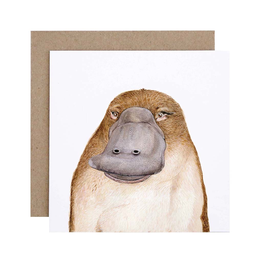 Square white greeting card with platypus watercolour illustration and recycled kraft envelope