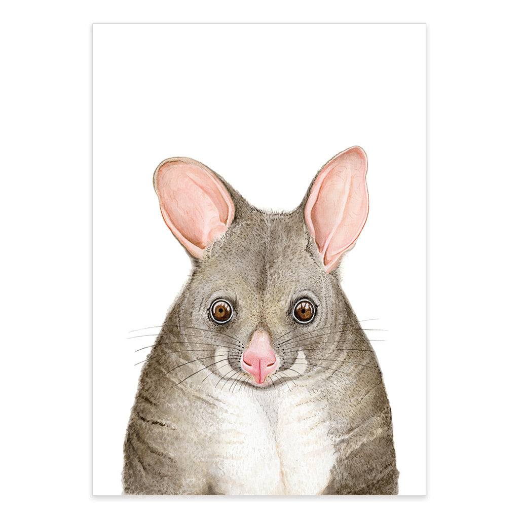 possum watercolour artwork print
