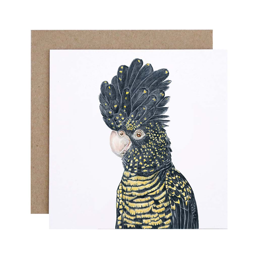 Square white greeting card with red tailed black cockatoo watercolour illustration and recycled kraft envelope