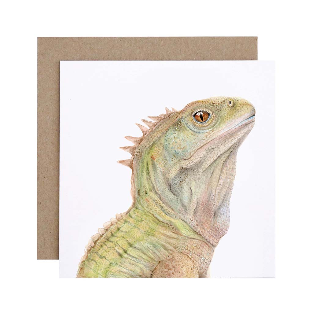 Square white greeting card with tuatara lizard watercolour illustration and recycled kraft envelope