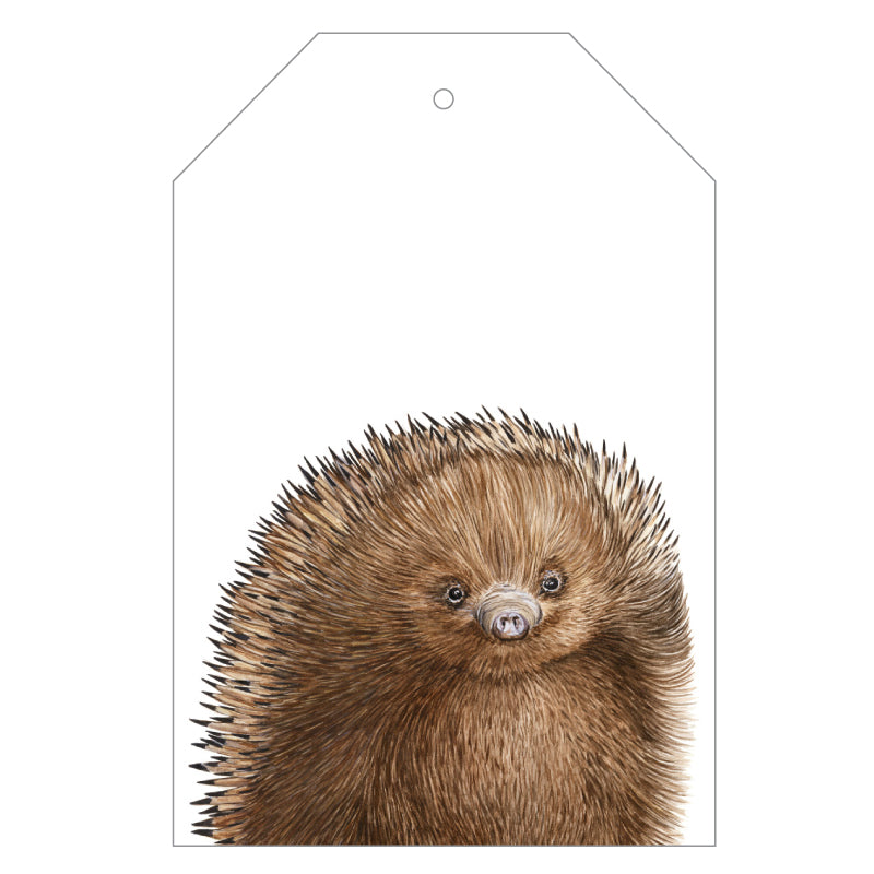 Eddie the Echidna Gift Tags - For Me By Dee