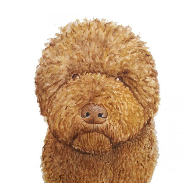 Pet Portraits - For Me By Dee