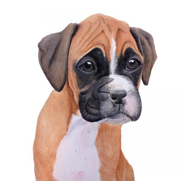 Pet Portraits - For Me By Dee