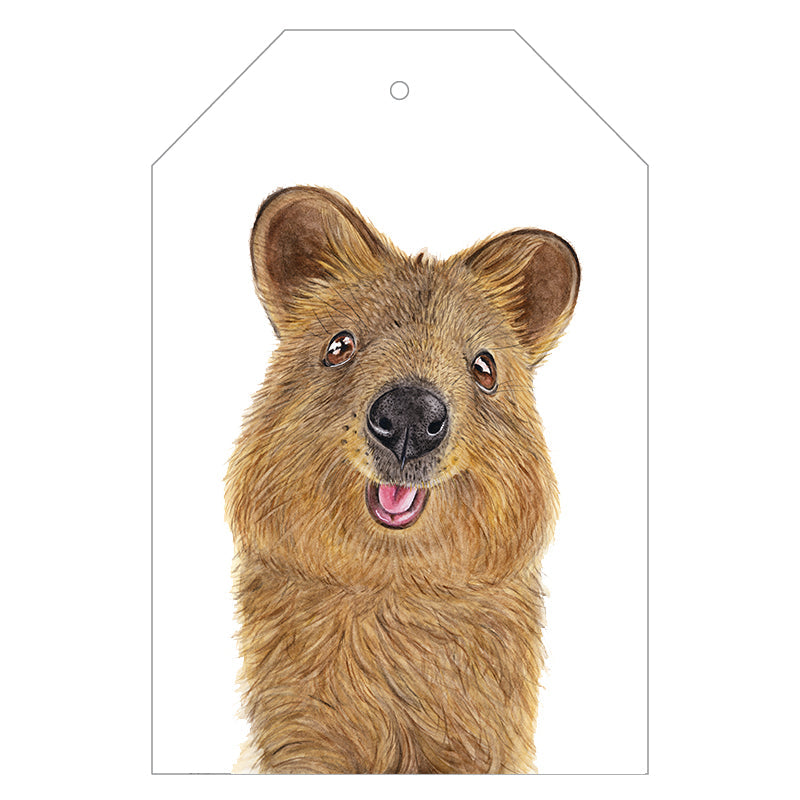 quokka australian animal gift tag with twine string on pink background