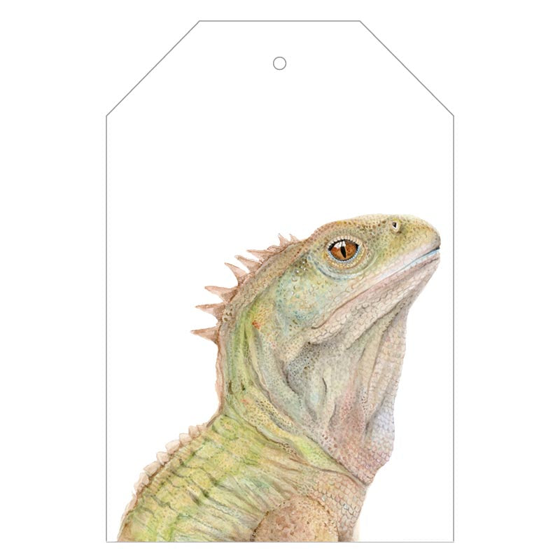 Triton the Tuatara Gift Tags - For Me By Dee