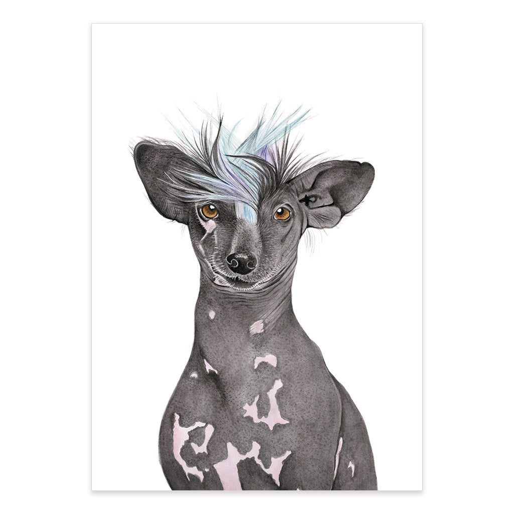 black chinese crested dog watercolour artwork print