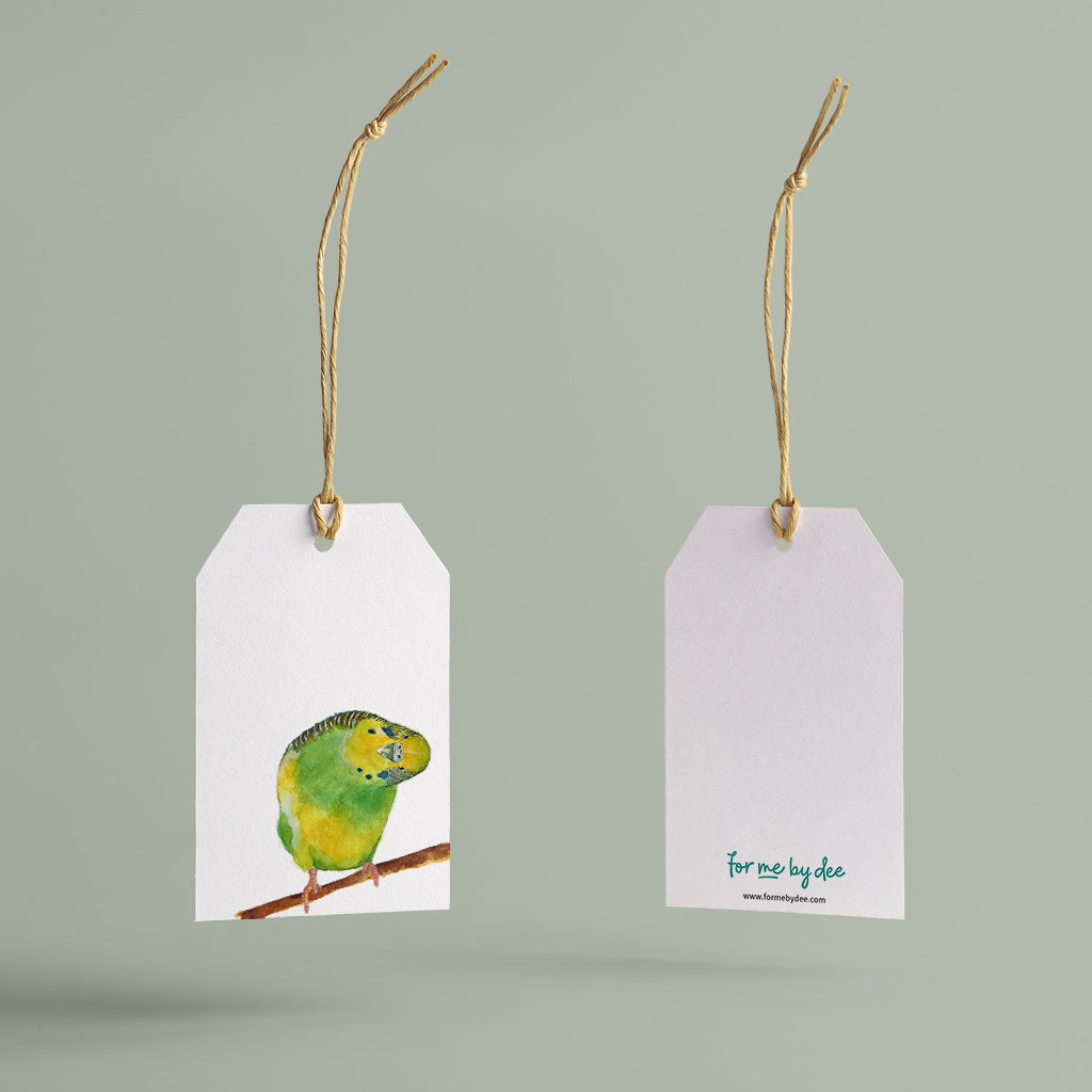 green and yellow budgie on branch painted with watercolour gift tag with twine string on green background