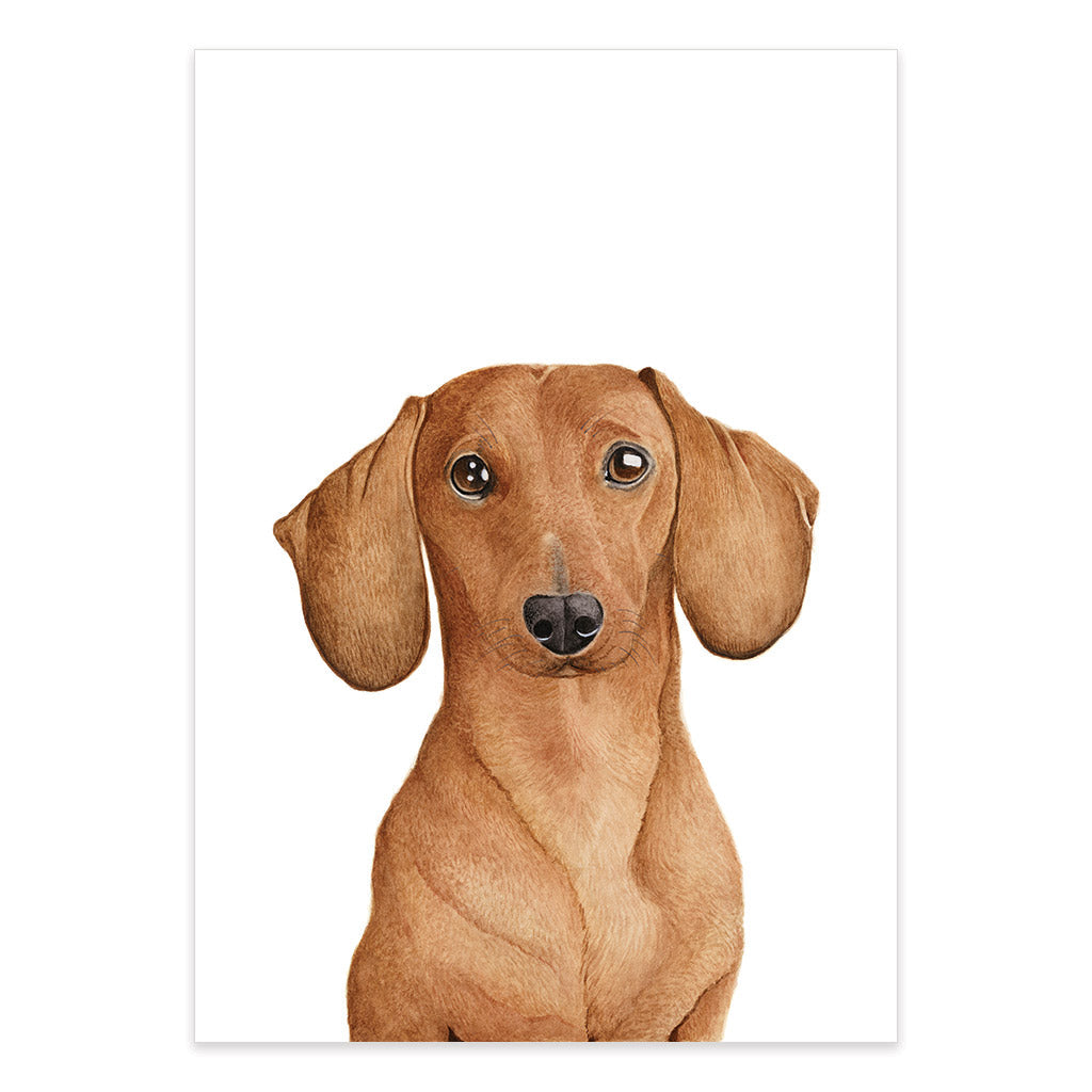 dachshund sausage dog watercolour artwork print