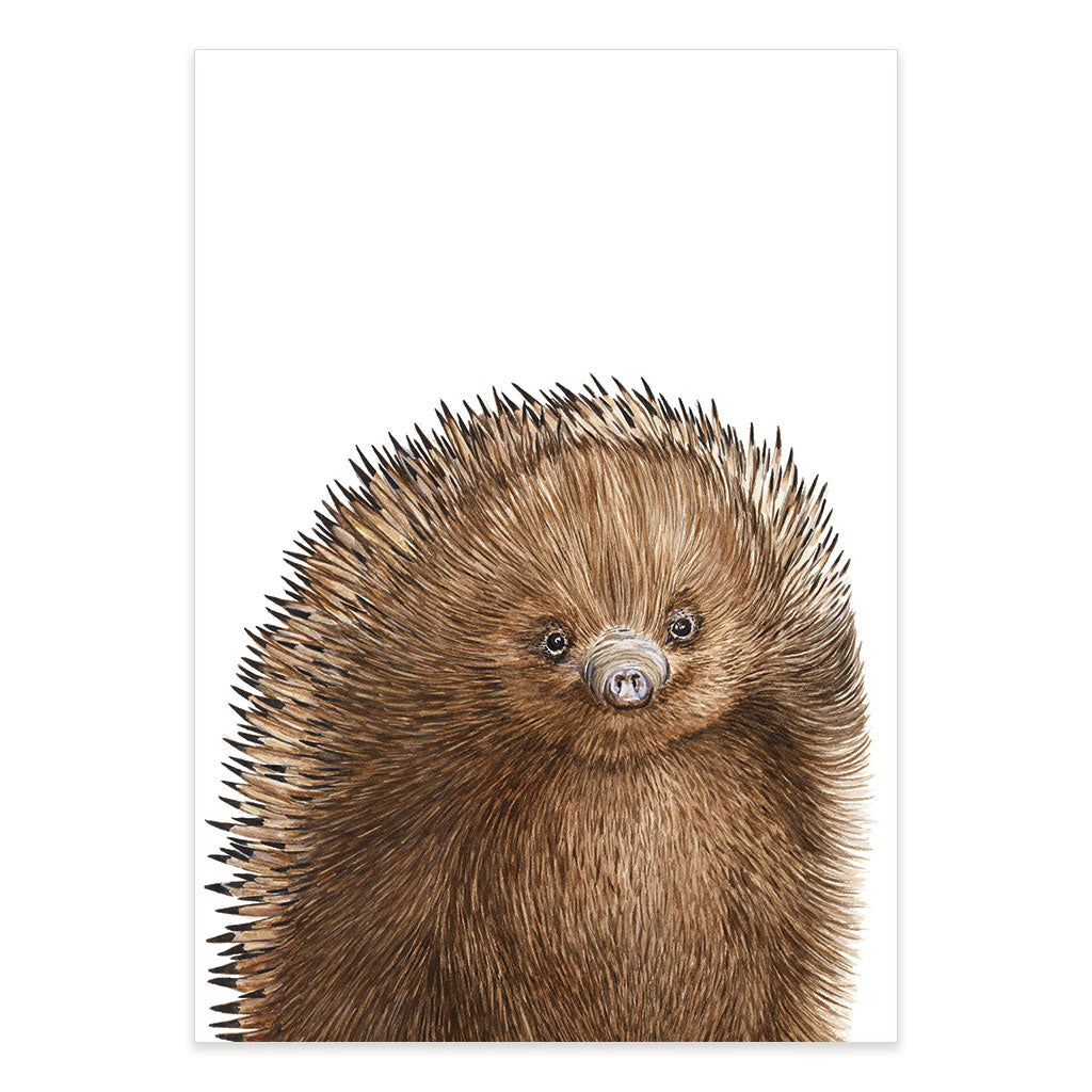 echidna watercolour artwork print