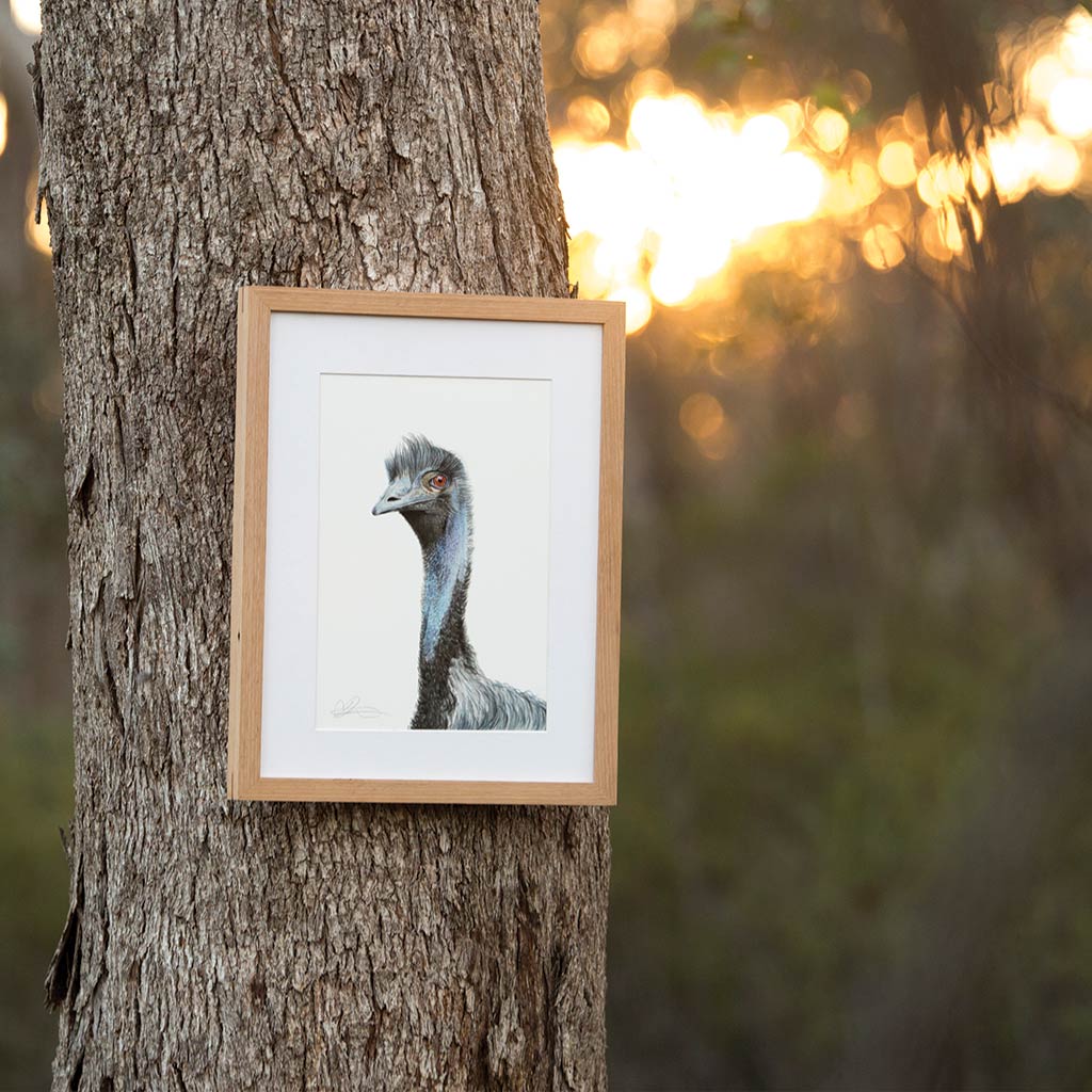 emu watercolour artwork in natural timber frame hanging from tree in australian busher frame 