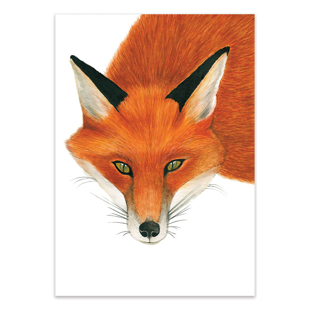 fox watercolour artwork print