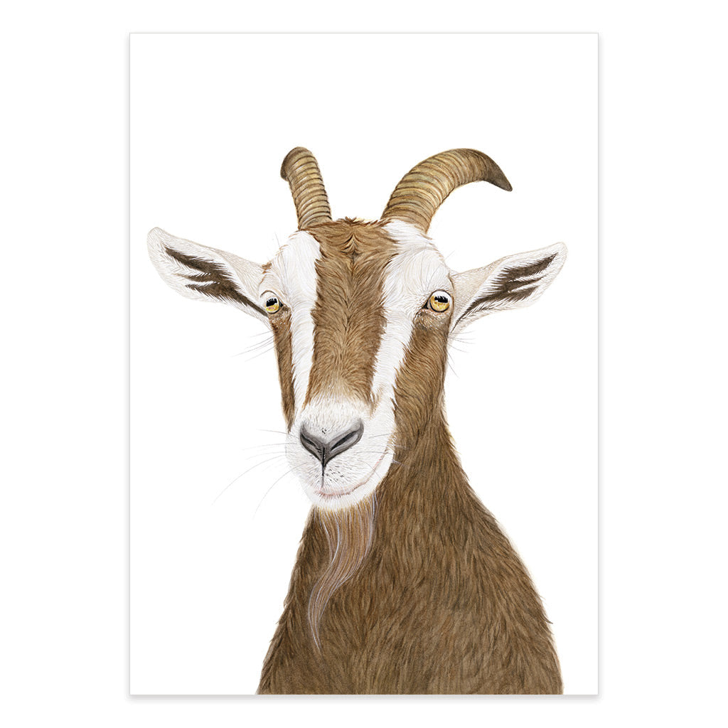 goat farm animal watercolour artwork print