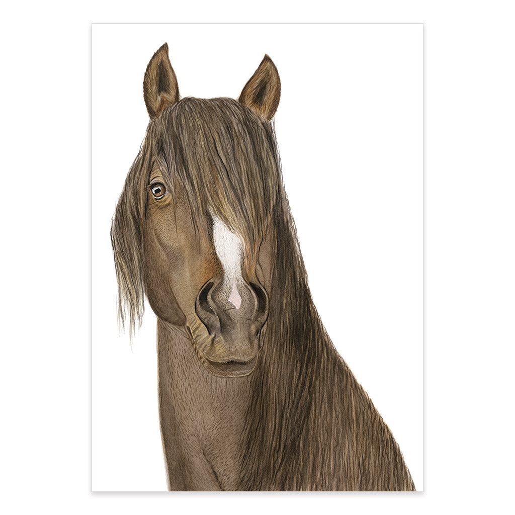 horse farm animal watercolour artwork print