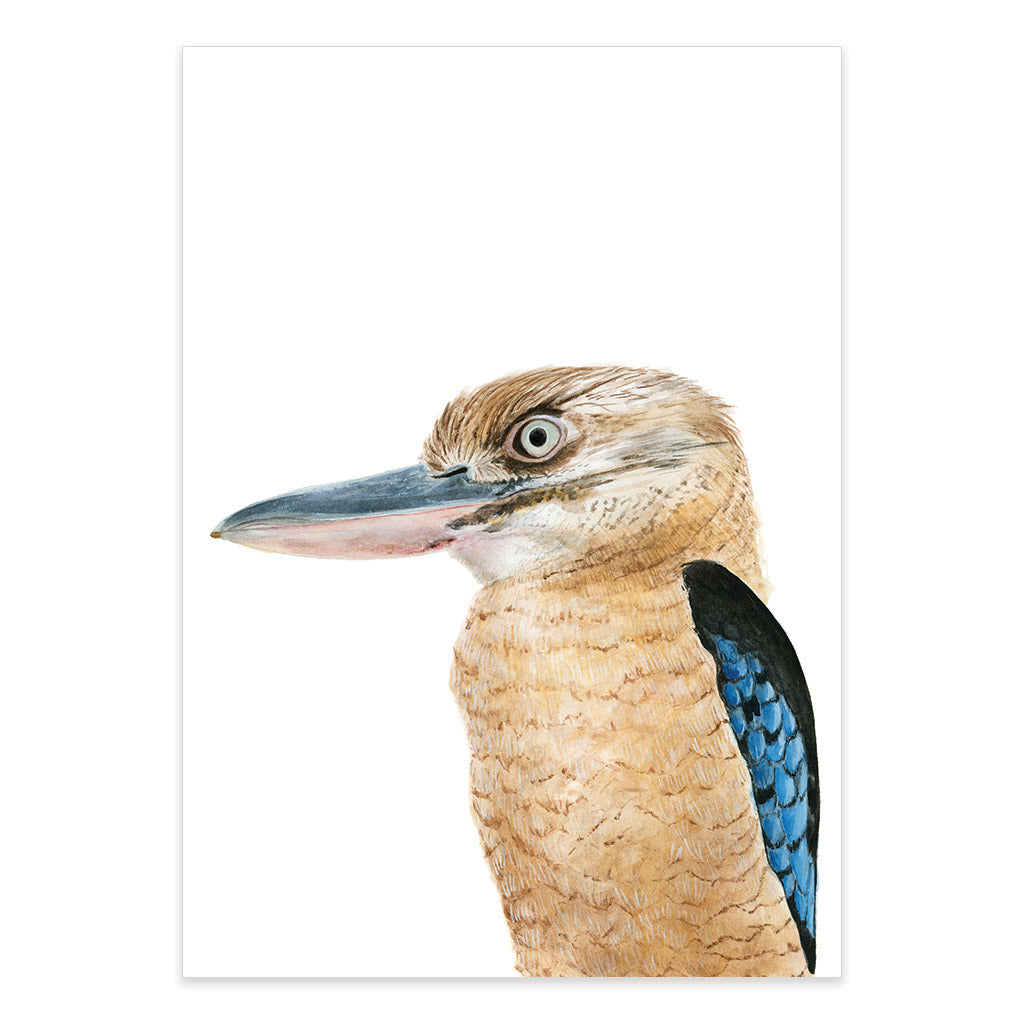 kookaburra watercolour artwork print