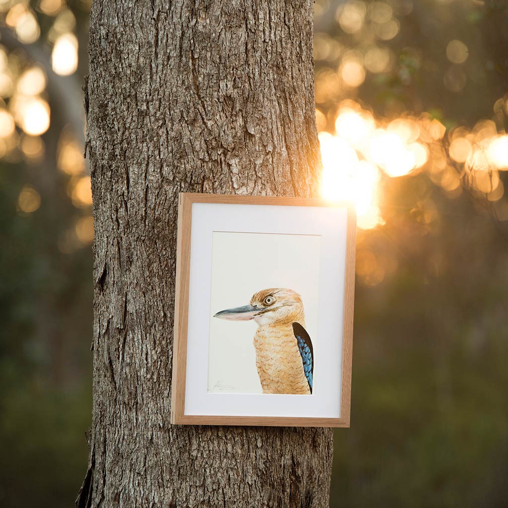 kookaburra watercolour artwork in natural timber frame hanging on tree in australian bush 