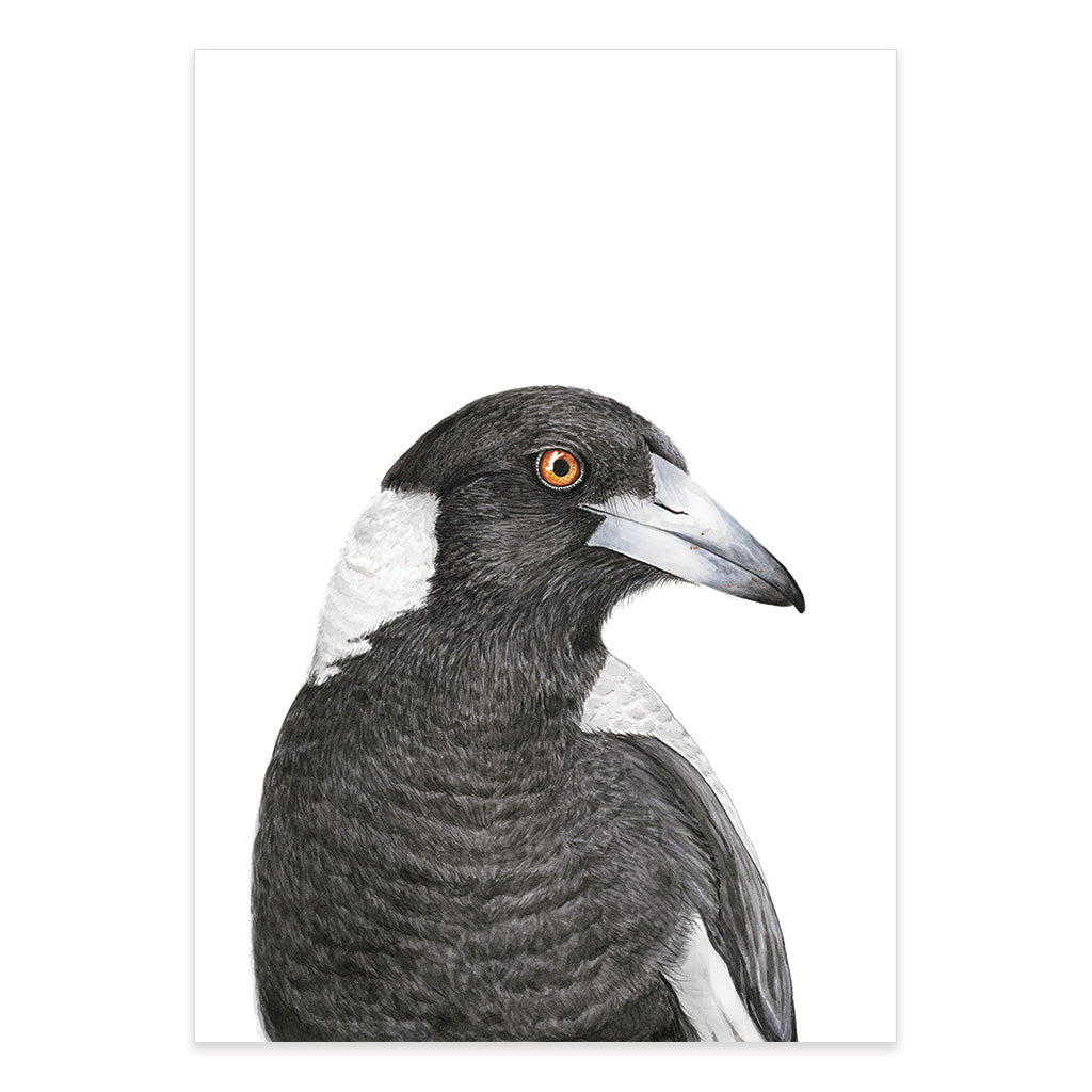 magpie watercolour artwork print