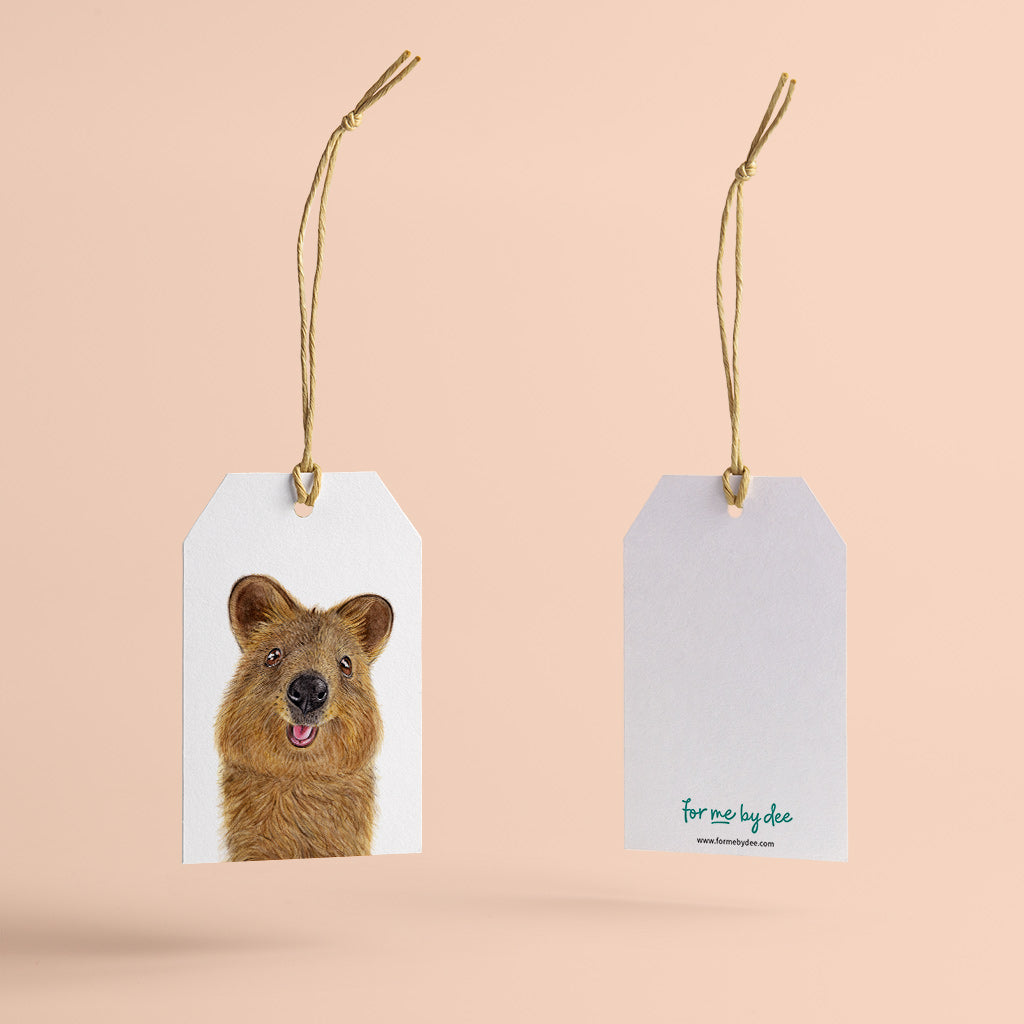 quokka australian animal gift tag with twine string on pink background