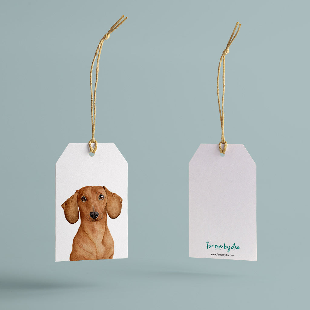 Dachshund gifts clearance near me