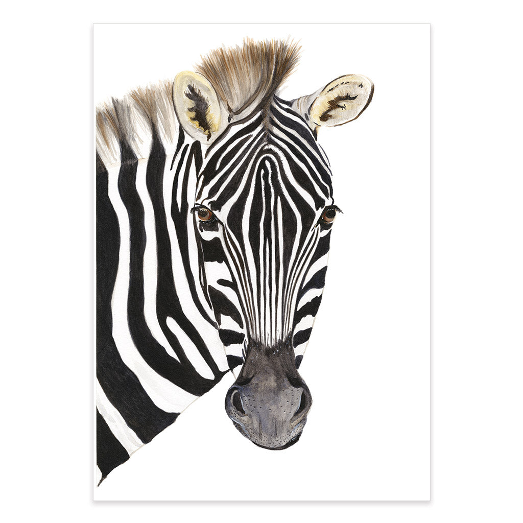 zebra watercolour artwork print